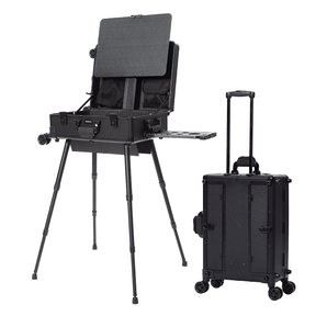 MEEDEN 3-in-1 Portable Plein Air Easel Box with Wheels