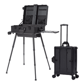 MEEDEN 3-in-1 Portable Plein Air Easel Box with Wheels