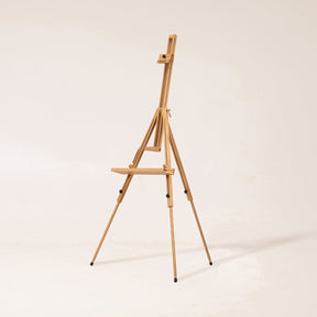 MEEDEN Tripod Plein Air Painting Easel with Carrying Case-W07E